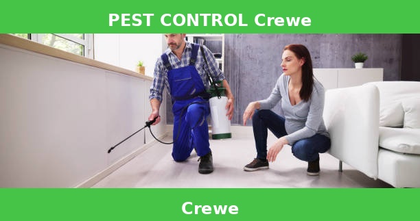 PEST CONTROL Crewe